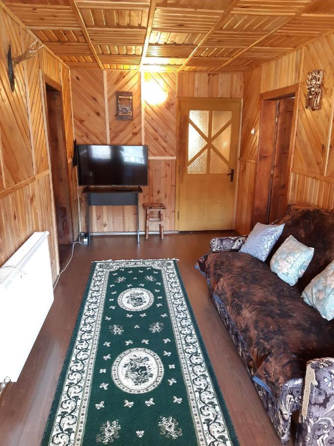 Casa Dorina Villa Bran  Bagian luar foto