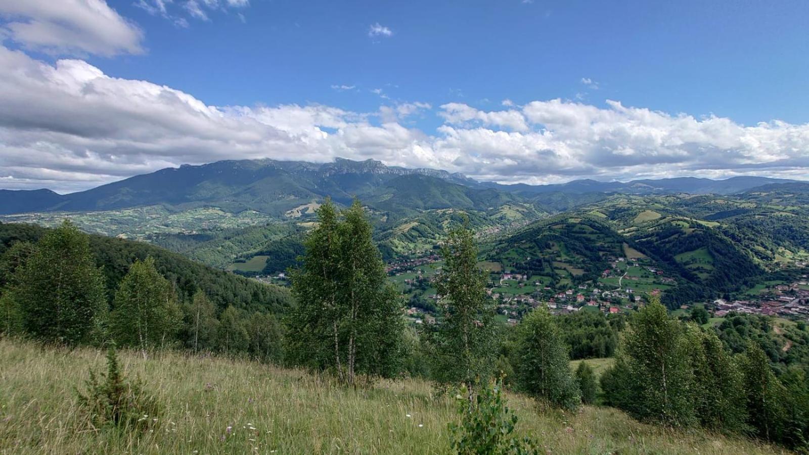 Casa Dorina Villa Bran  Bagian luar foto
