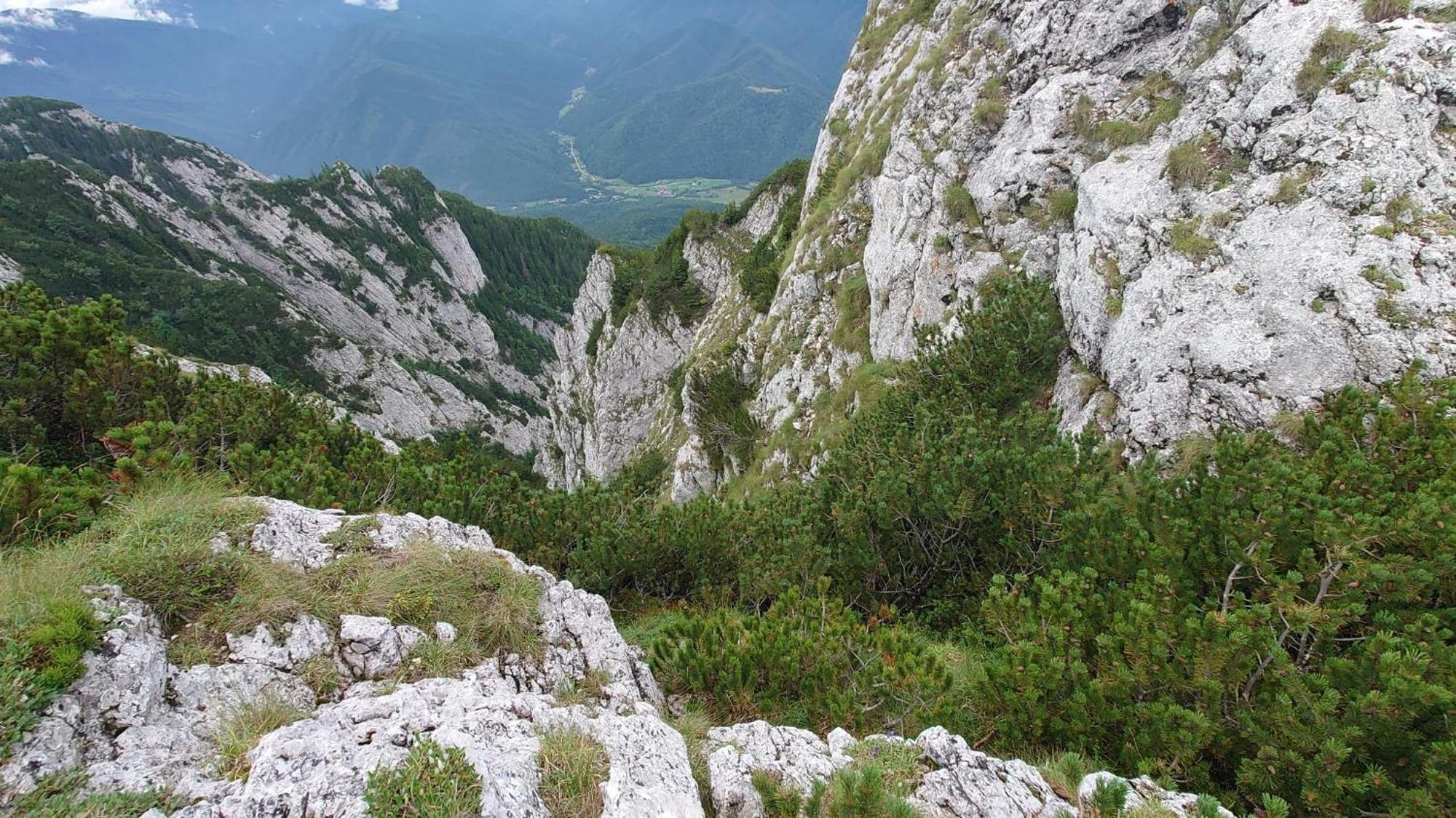 Casa Dorina Villa Bran  Bagian luar foto
