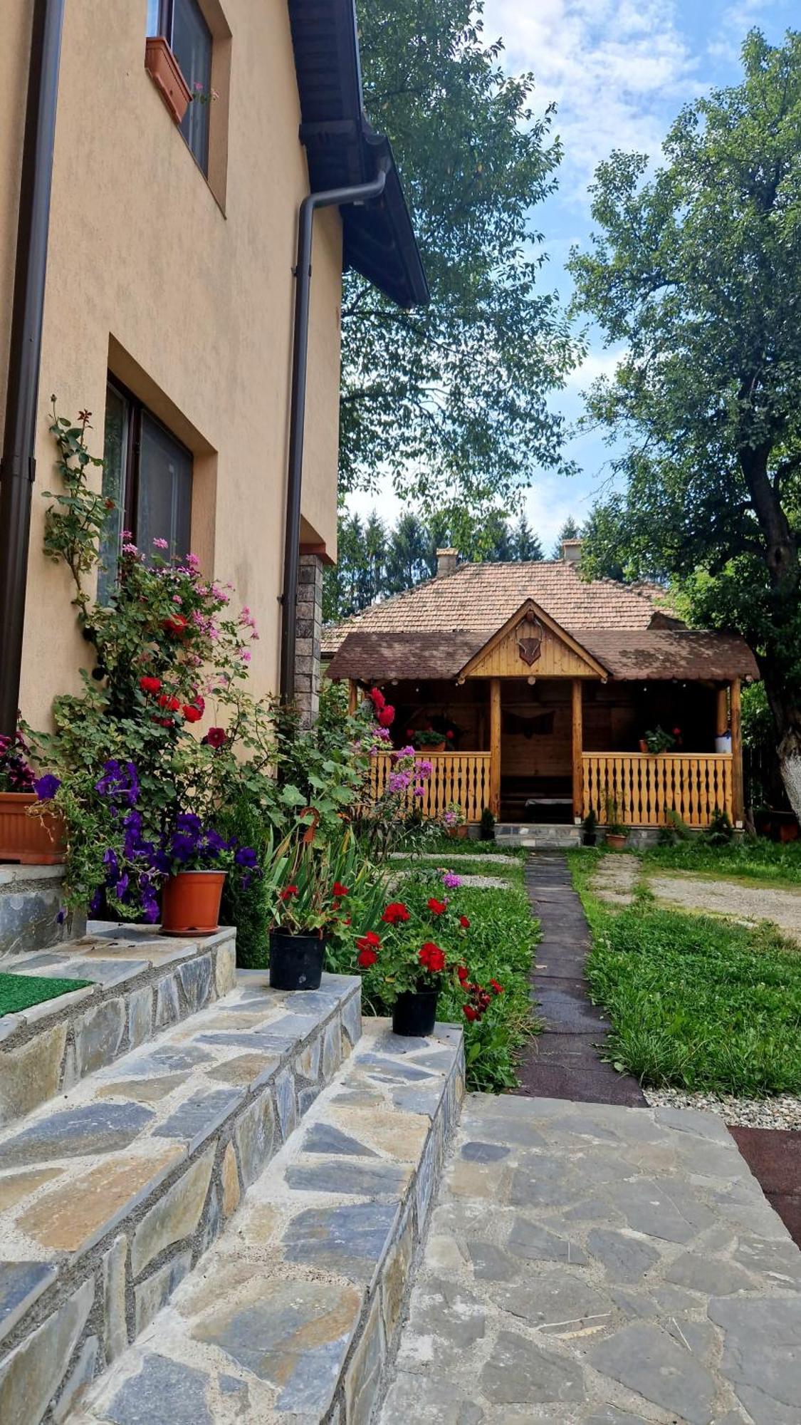 Casa Dorina Villa Bran  Bagian luar foto
