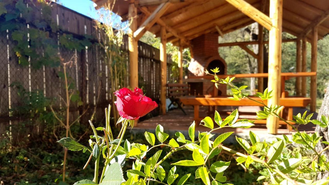 Casa Dorina Villa Bran  Bagian luar foto