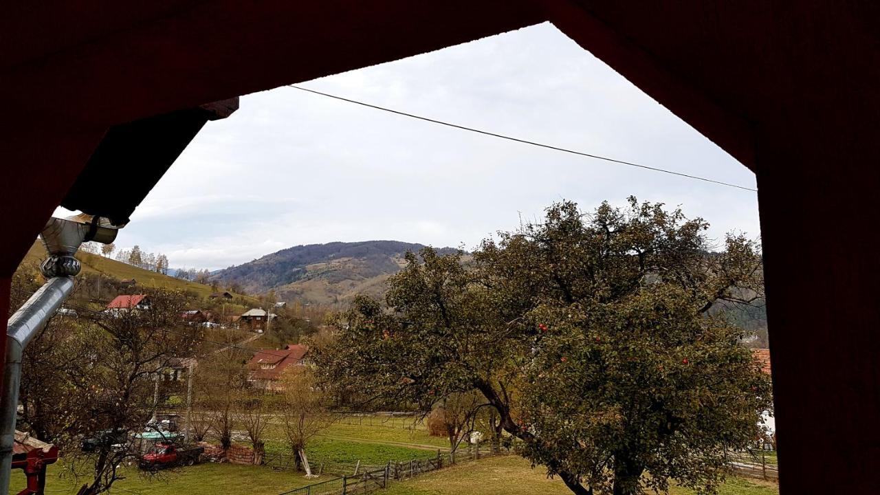 Casa Dorina Villa Bran  Bagian luar foto