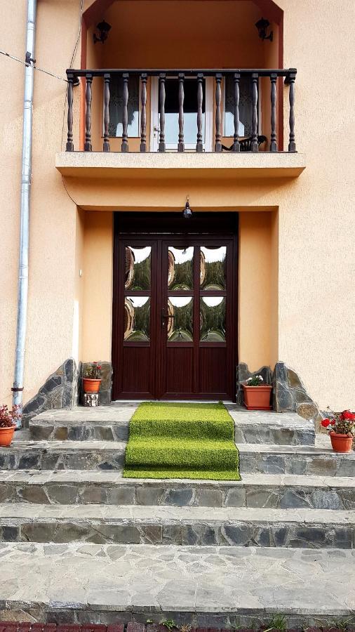 Casa Dorina Villa Bran  Bagian luar foto